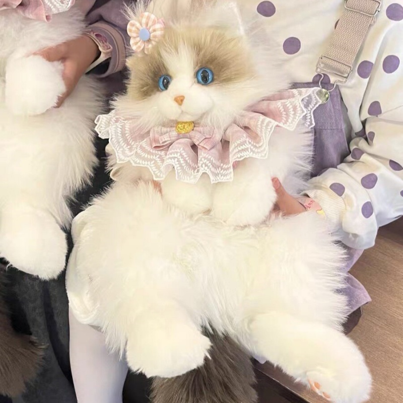 2026 Yeni Stokta Ragdoll Kedi  - Travel Accessories Gift Ideas incelemesi ve fiyatı