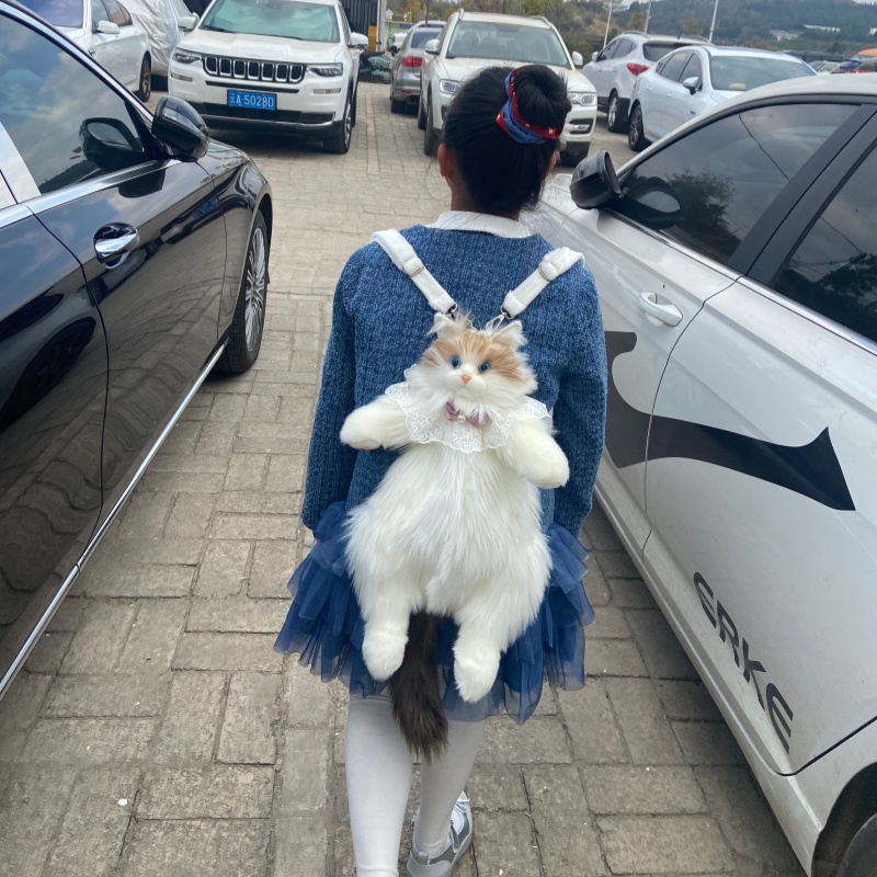 2026 Yeni Stokta Ragdoll Kedi  - Travel Accessories Gift Ideas incelemesi ve fiyatı