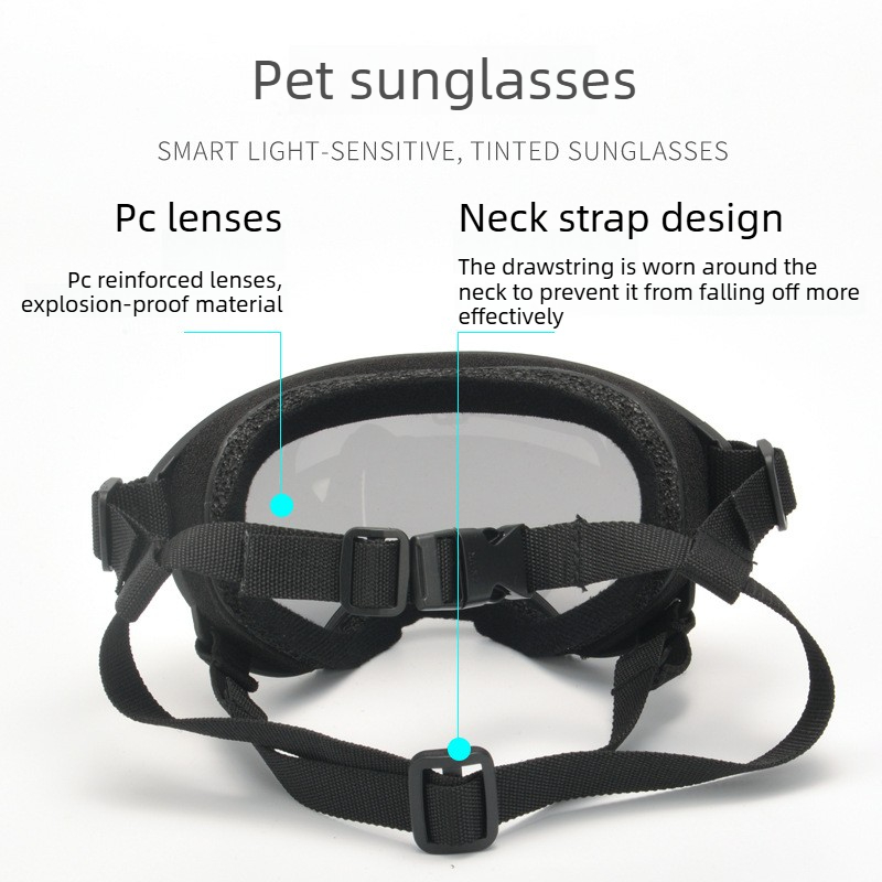 Evcil Hayvan Gözlükleri Rüzgar - Travel Accessories Gift Ideas incelemesi ve fiyatı